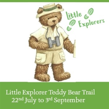 Little Explorer Teddy Bear Trail